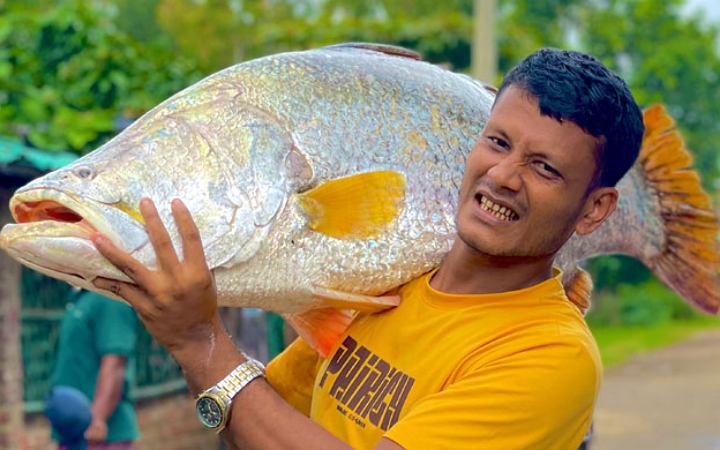 টেকনাফে ধরা পড়লো ২৬ কেজির কোরাল