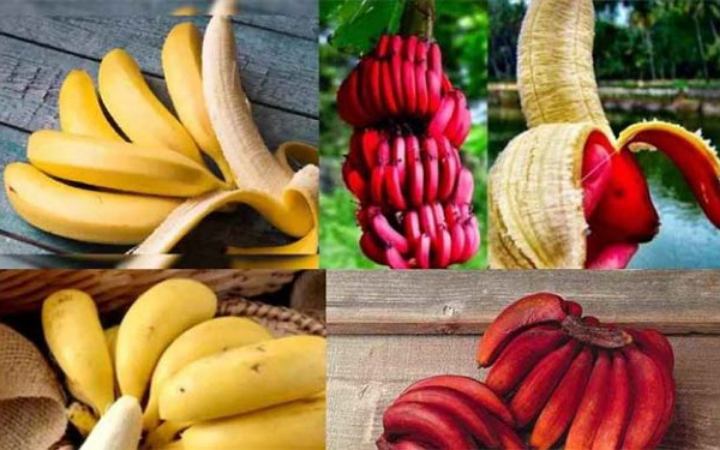 জানেন কী লাল না হলুদ কলাই বেশি উপকারী