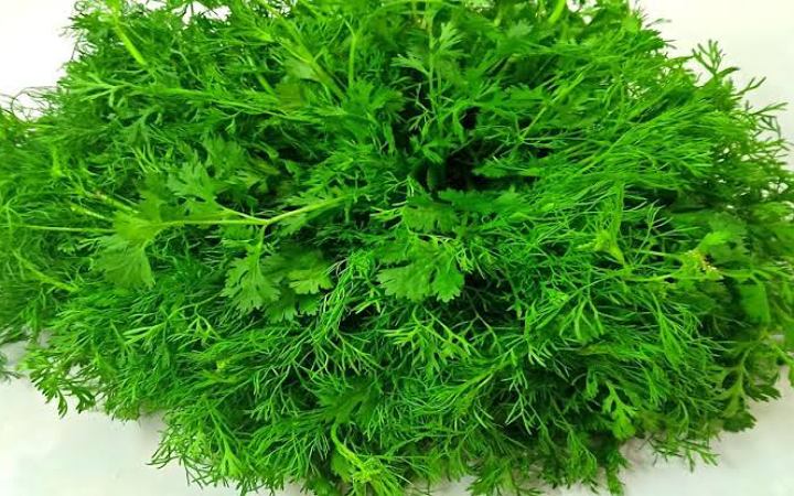 জানেন কী ধনিয়া পাতার পুষ্টি উপকারিতা সম্পর্কে