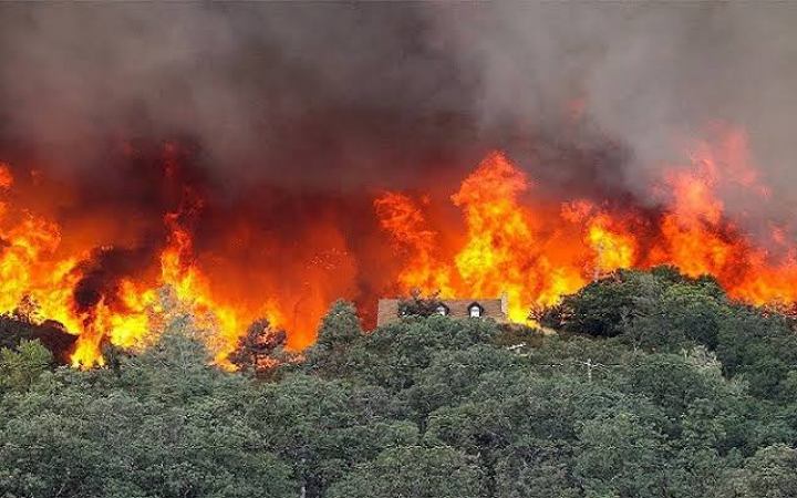 ফ্রান্সে ভয়াবহ দাবানল, ১১ হাজার হেক্টর এলাকার গাছপালা পুড়ে ছাই