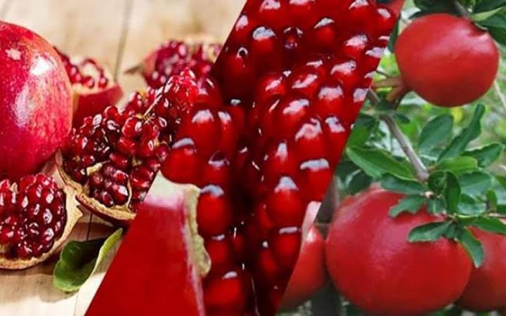 জেনে নিন কিডনির জন্য কিছু ফলের উপকারিতা