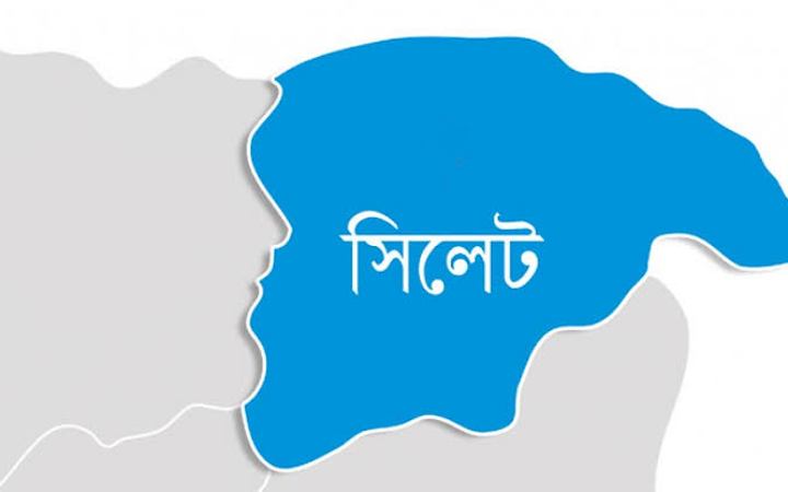 সিলেটে পৃথক অভিযানে বিপুল পরিমাণ ভারতীয় পণ্য জব্দ