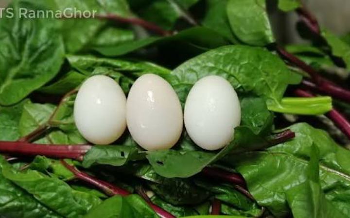 জেনে নিন স্মৃতিশক্তি বাড়াতে সন্তানকে যে ৬ খাবার দিতে পারেন