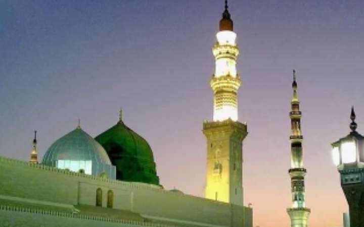 ইসলামে যেসব স্থলজ প্রাণী খাওয়া হারাম