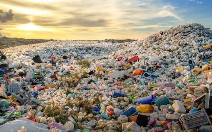 প্লাস্টিক বর্জ্য থেকে ওষুধ তৈরিতে ব্যবহার হচ্ছে ব্যাকটেরিয়া