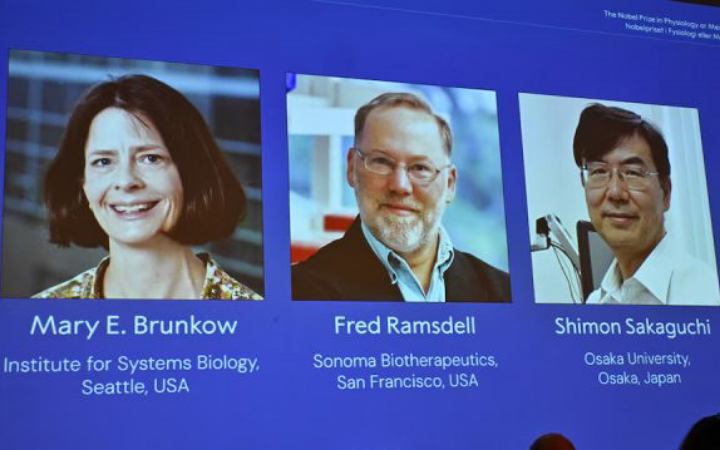 ‘পেরিফেরাল ইমিউন টলারেন্স’ আবিষ্কারে চিকিৎসায় নোবেল পেলেন ৩ বিজ্ঞানী