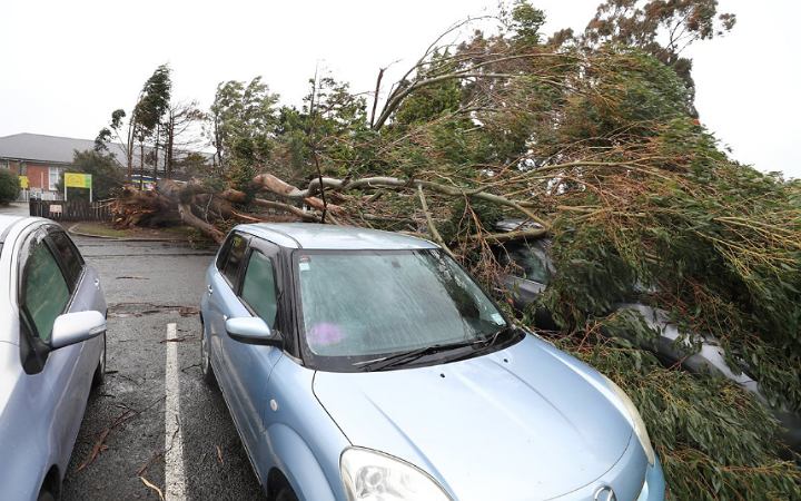 নিউজিল্যান্ডে প্রবল ঝড়, ৯০ হাজার বাড়ি বিদ্যুৎ বিচ্ছিন্ন- বাতিল শতাধিক ফ্লাইট