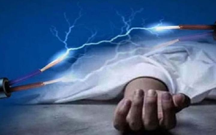 উজিরপুরে ইঁদুর মারার বৈদ্যুতিক ফাঁদে প্রাণ গেল কৃষকের
