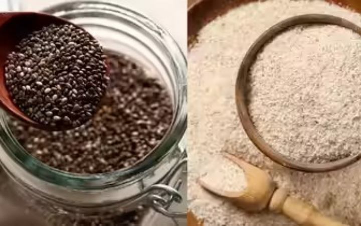 জেনে নিন কোনটি বেশি কার্যকরী,ইসবগুল না চিয়া সিড