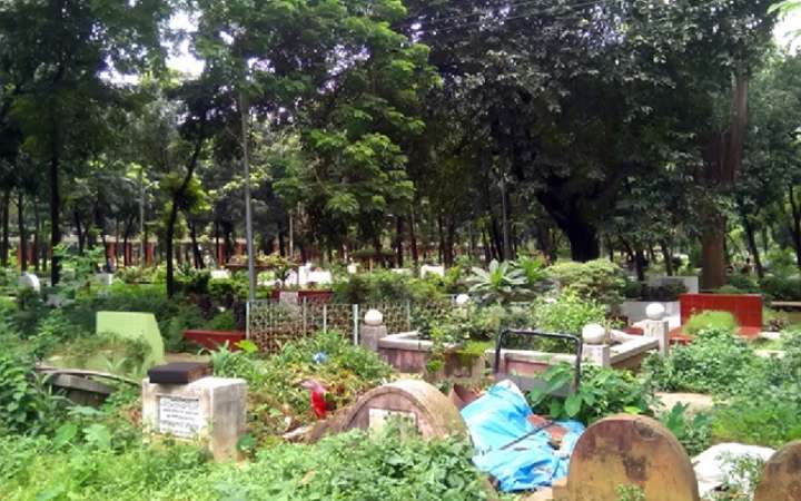 কবরের পাশে গাছ লাগানো যাবে?