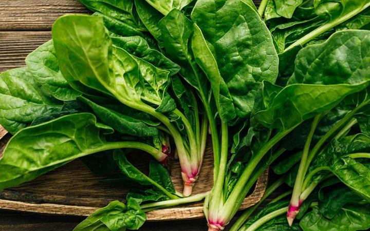 জেনে নিন কোন ধরনের মানুষকে পালং শাক খাওয়ায় সতর্ক থাকতে হবে
