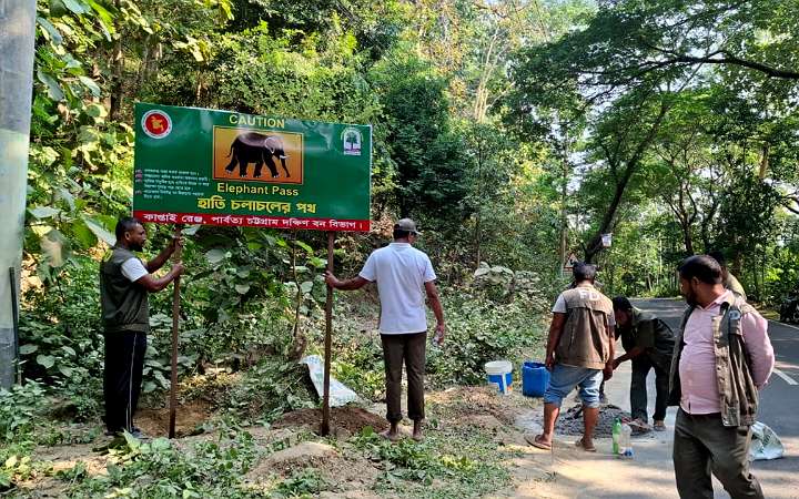 নির্বিঘ্নে হাতি চলাচলে কাপ্তাইয়ে বিলবোর্ড স্থাপন