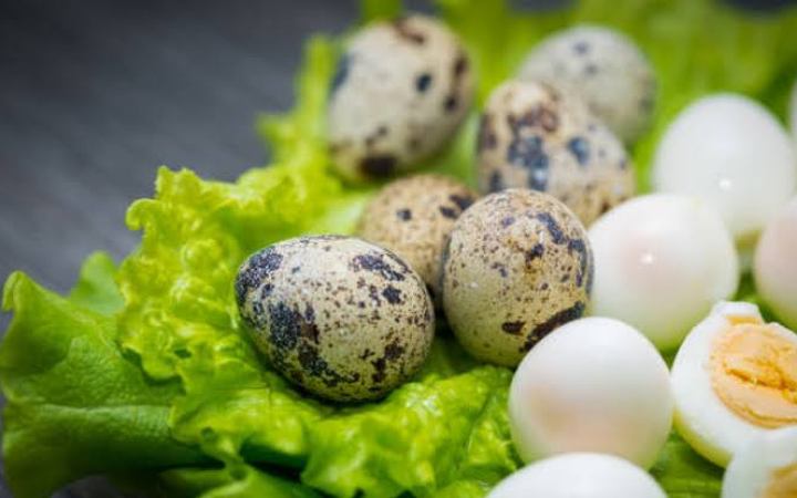 রোজ সকালে কোয়েলের ডিম খাওয়ার উপকারিতা