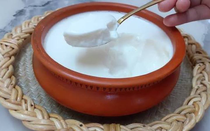 শীতে রোজ টক দই খাওয়ার উপকারিতা