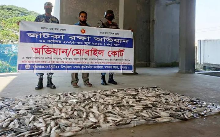 চাঁদপুরে যাত্রীবাহী লঞ্চ থেকে ২৫০ কেজি জাটকা জব্দ