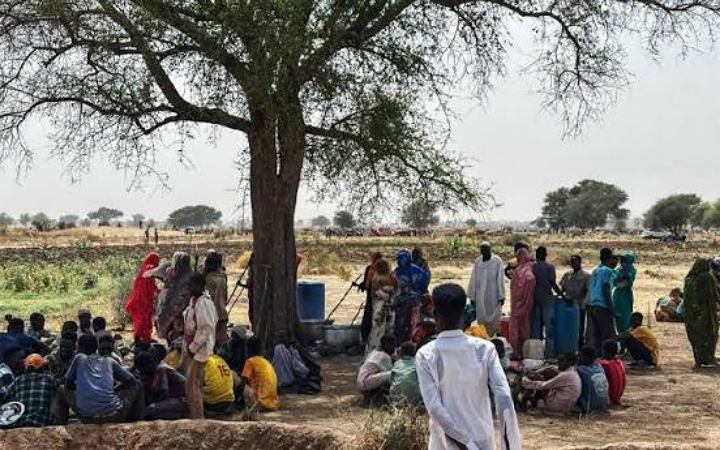 ৫৩৫ আফগান শরণার্থীকে আশ্রয় দিবে জার্মানি