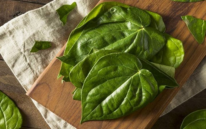 জেনে নিন ত্বকের যত্নে পান পাতার উপকারিতা