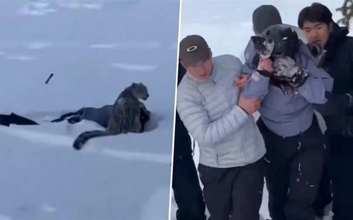 ছবি তুলতে গিয়ে চিতাবাঘের আক্রমণে পর্যটক আহত