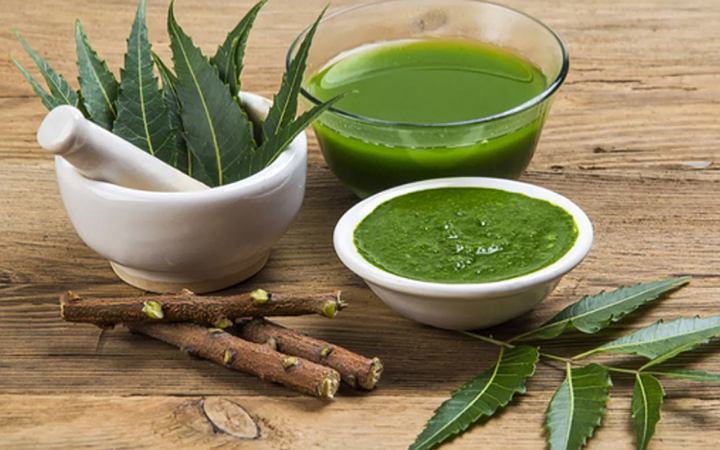 জেনে নিন কৃমি নির্মূল করে যে পাতার রস