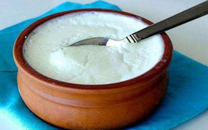 দই খাওয়া কমাতে পারে কোলন ক্যান্সারের ঝুঁকি