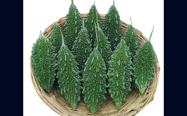 জেনে নিন তিতা খাওয়ার উপকারিতা