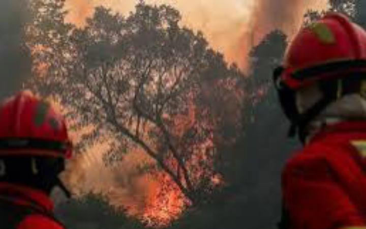 দাবানলে পুড়ছে পর্তুগাল, আগুন নেভাতে কাজ করছে ২০০০ দমকলকর্মী