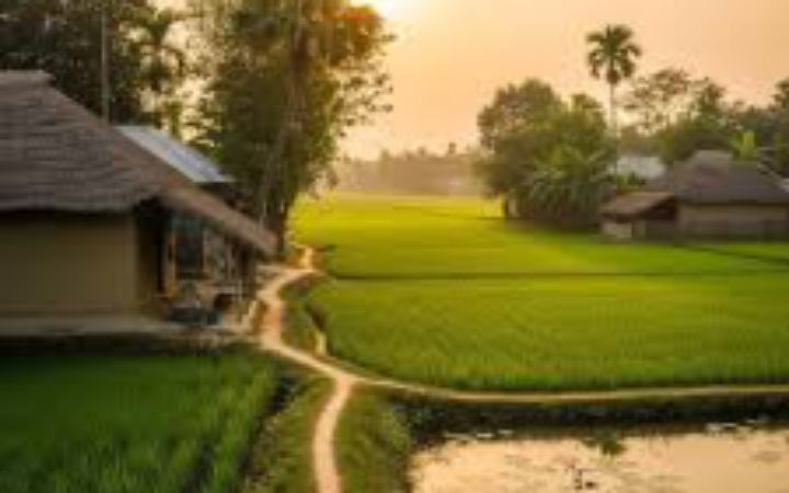 ভারতে পানির দামে বিক্রি হবে গ্রাম!