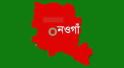 বুড়িদহ বাজারের দেবদারু বাগানে মৌমাছির কামড়ে আহত ৯