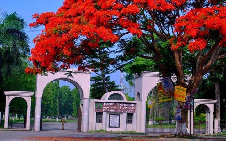 ইবিতে কানের পর্দা ফাটানোর প্রতিশোধ নিতে ছাত্রলীগ কর্মীকে মারধর