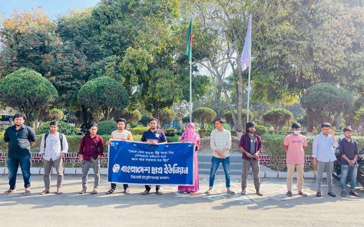 সাংবাদিকদের কাজে বাধা ও শিক্ষক হেনস্তার প্রতিবাদে ইবিতে মানববন্ধন