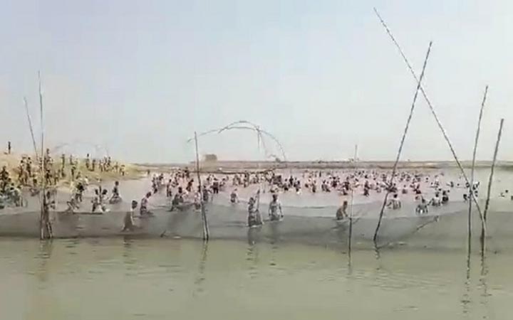 ইটনায় জলমহাল থেকে কোটি টাকার মাছ লুট