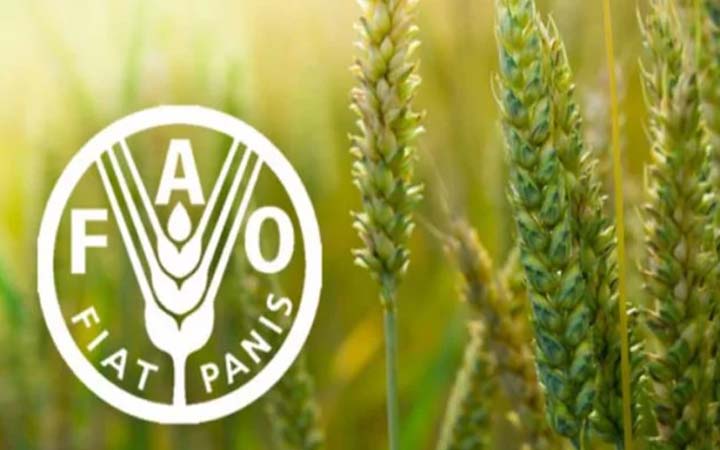 জাতিসংঘের খাদ্য ও কৃষি সংস্থায় চাকরির সুযোগ