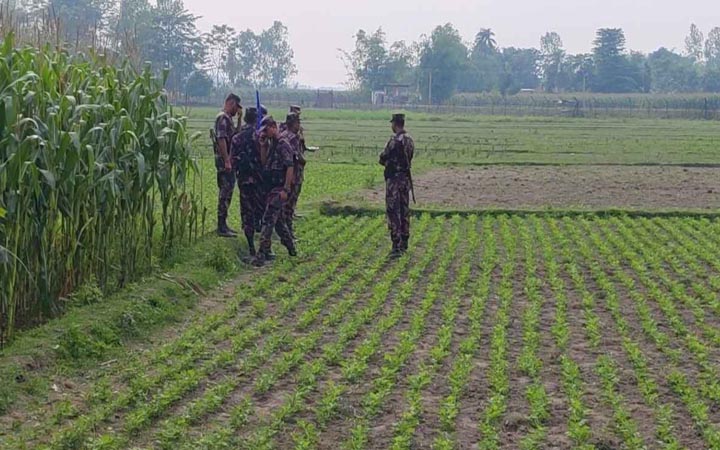 বাংলাদেশি তরুণকে ধরে নিয়ে গেল বিএসএফ