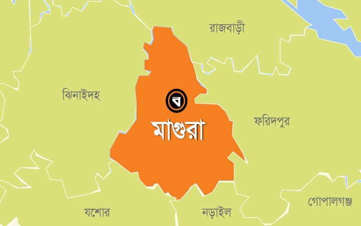 মাগুরায় মোটরসাইকেলের ধাক্কায় কৃষক নিহত