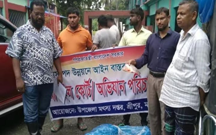মাগুরায় নিষিদ্ধ পিরানহা মাছ জব্দ, ব্যবসায়ীকে জরিমানা