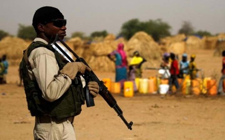 নাইজারে বন্দুকধারীদের হামলায় প্রাণহানি ৬৯