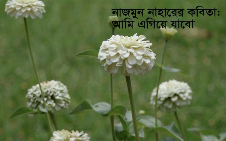 কবিতা: আমি এগিয়ে যাবো  -নাজমুন নাহার