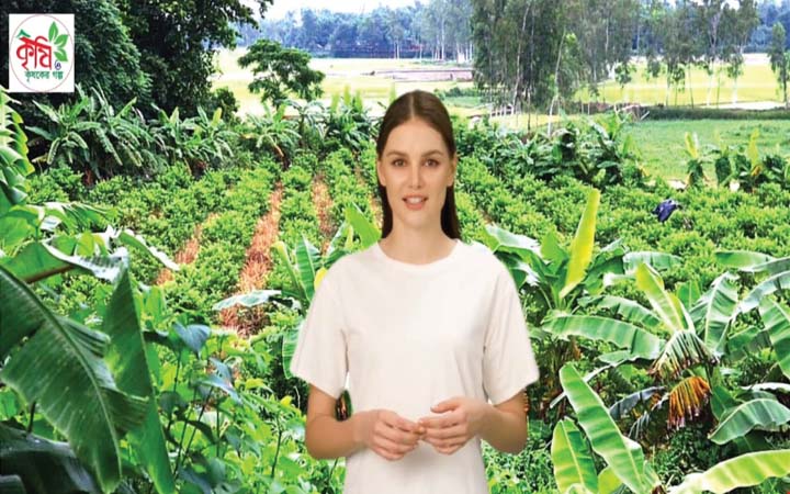 সাতক্ষীরায় ইউটিউব চ্যানেলে এআই প্রেজেন্টার ‘পুষ্প’