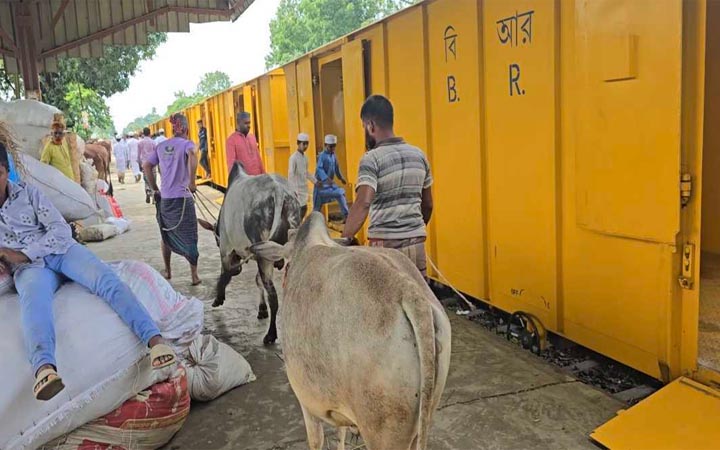 ট্রেনে চড়ে ঢাকায় যাচ্ছে কোরবানির পশু