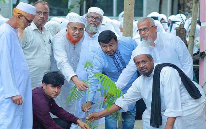 সবুজ বাংলাদেশ গড়তে একযোগে অর্ধশতাধিক মাদরাসায় বৃক্ষরোপণ