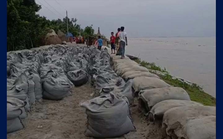 কুড়িগ্রামে বাড়ছে নদ-নদীর পানি, ভাঙন তীব্র