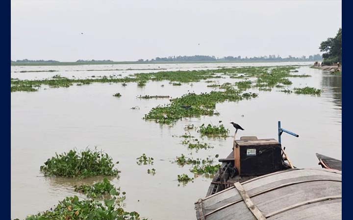 গাইবান্ধায় ব্রহ্মপুত্র-ঘাঘট-করতোয়ার পানি বৃদ্ধি, কমেছে তিস্তার