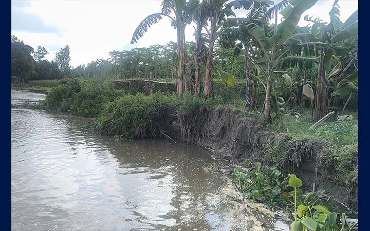 গাইবান্ধায় ৪৫ পয়েন্টে ভাঙনে বিপাকে ৭ শতাধিক পরিবার