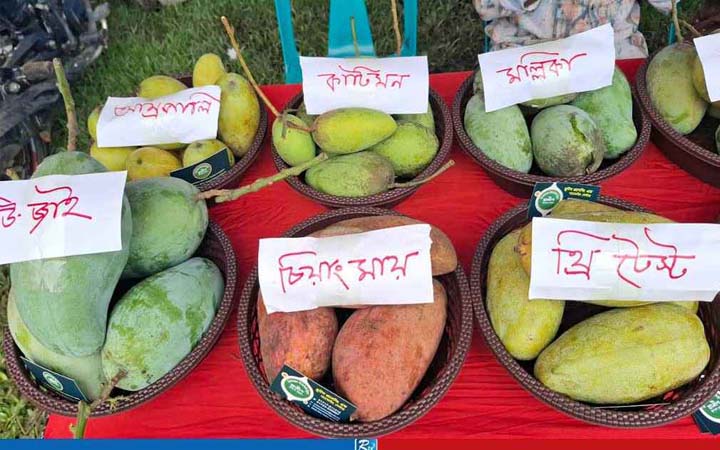 নওগাঁয় দুই দিনব্যাপী ম্যাংগো ফেস্টিভ্যাল শুরু