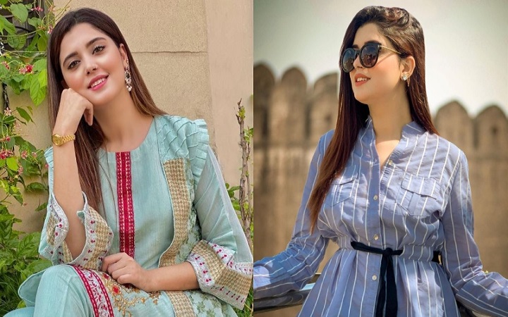 পাকিস্তানের জনপ্রিয় টিকটকারের অপ্রীতিকর ভিডিও ভাইরাল