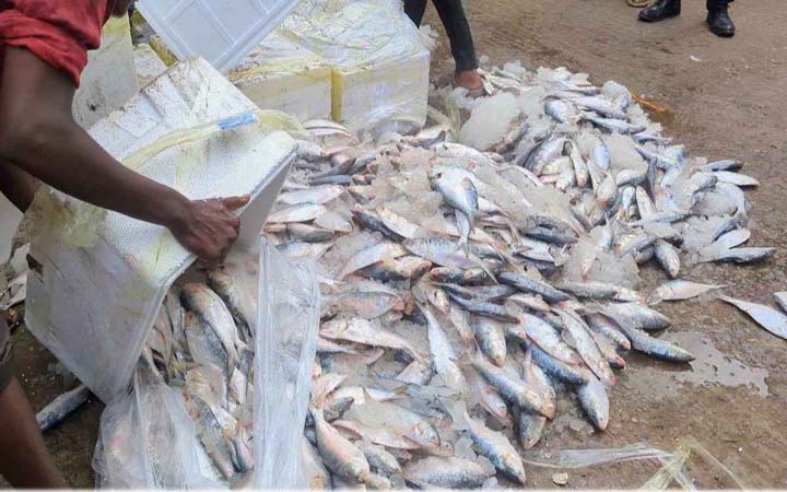 বরগুনায় ৮ মণ জাটকা জব্দ