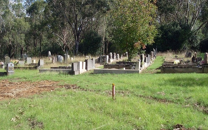 অস্ট্রেলিয়ায় কবরস্থানে শূকরের মাথা ফেলে গেলো দুর্বৃত্তরা