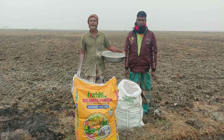 ২০ ইউনিয়নের ২০ বিঘা জমিতে ডলুচুন প্রয়োগ