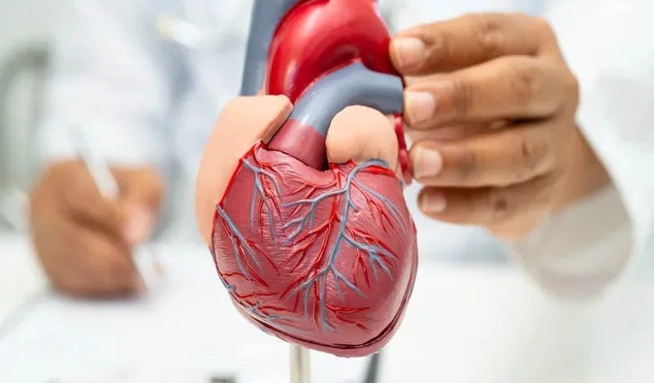 হৃদ্‌যন্ত্রের জন্য সবচেয়ে বিপজ্জনক ৪ অভ্যাস সম্পর্কে জেনে নিন