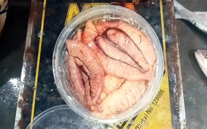 ইলিশের ডিমের কেজি ৬ হাজার টাকা
